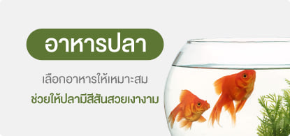 อาหารปลา